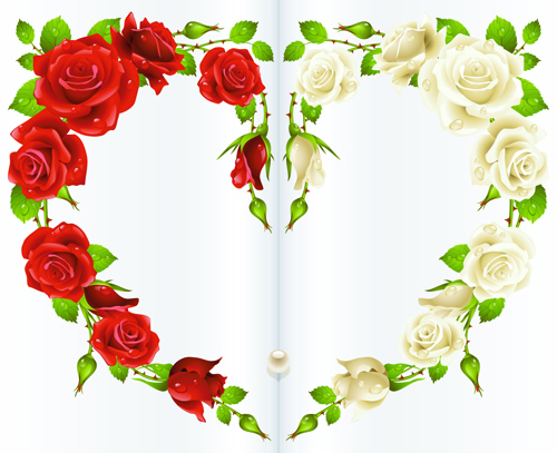 Red rose and white rose heart background vector rose red heart background vector background   