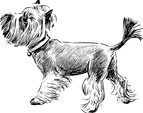 Sketch dog design vector 02 sketch dogs dog   