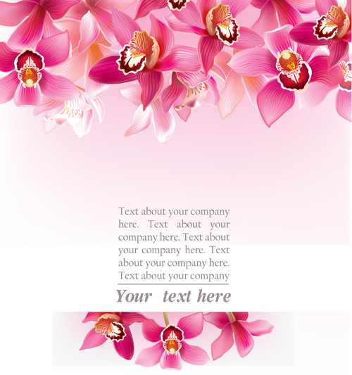 Elegant orchids vector background art 01 orchids elegant background   