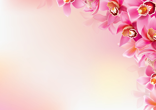 Elegant orchids vector background art 02 orchids elegant background   