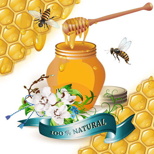 Natural honey creative poster vecor 02 poster natural honey creative   