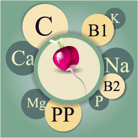 Healthy food with nutrition elements vector 06 nutrition Healthy food   