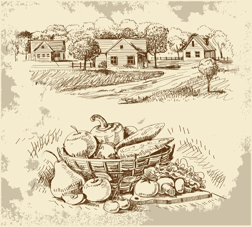 Sketch village with vegetables vector 02 village vegetables sketch   