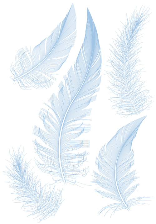 Realistic feather illustration design vector 03 realistic illustration feather   