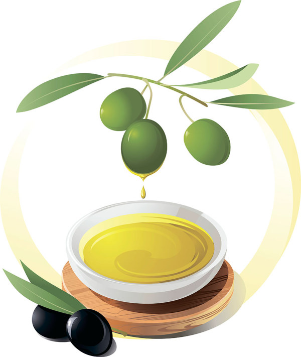 Olives and Olive oil vector 01 olive oil olive   