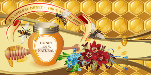 Natural honey creative poster vecor 03 poster natural honey creative   