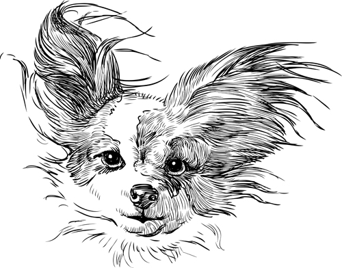 Sketch dog design vector 01 sketch dogs dog   