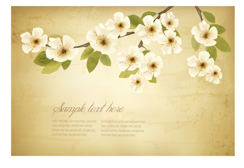 spring white flowers with vintage background 01 white flowers vintage spring flower background   