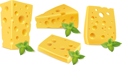 Cheese with green leaf design vector Green Leaf green cheese   