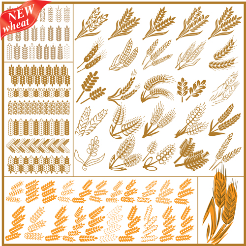 Set of Wheat patterns mix vector 04 wheat patterns pattern mix   