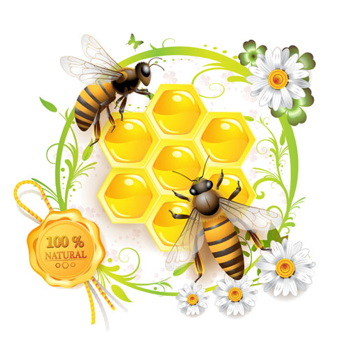 Elements of Honey and Bees vector set 02 honey elements element bees   