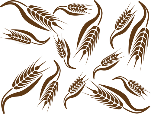 Set of Wheat patterns mix vector 02 wheat patterns pattern mix   