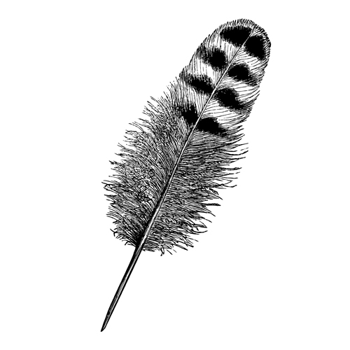 Realistic feather illustration design vector 01 realistic illustration feather design   