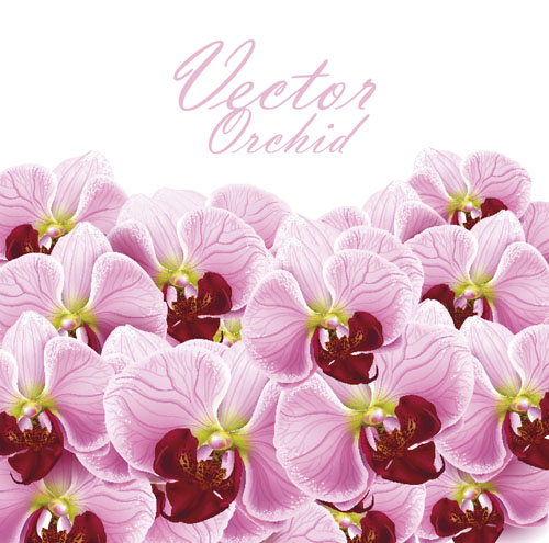 Set of with Flowers elements background vector 03 flowers flower elements element   