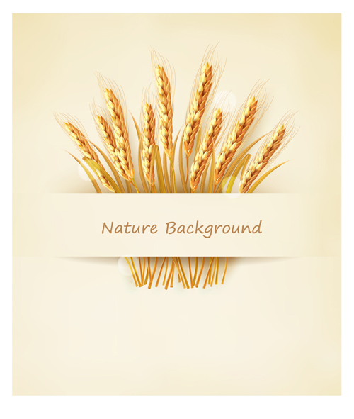 Classic gold wheat background vector material 03 vector material material gold classic background vector background   