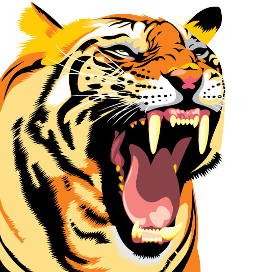 Set of Tiger vector picture art 28 tiger   