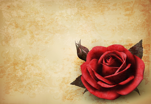 Roses and Vintage background vector 05 vintage roses rose background vector background   