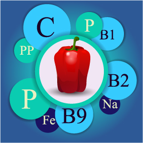 Healthy food with nutrition elements vector 05 nutrition Healthy food   