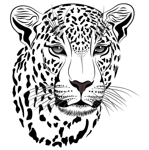 Set of Cheetah vector picture art 14 cheetah   