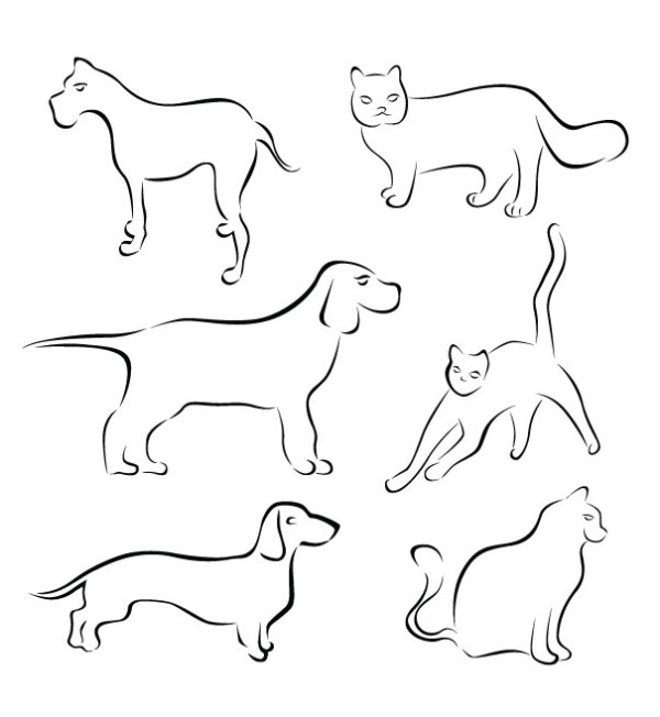 Various Hand drawn Animal vector hand drawn Animal   