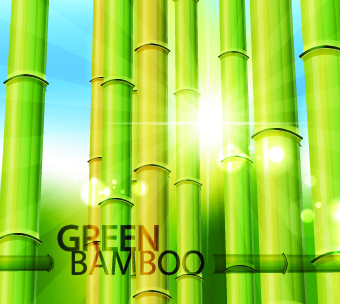 Vector Bamboo design elements background 02 elements element bamboo   