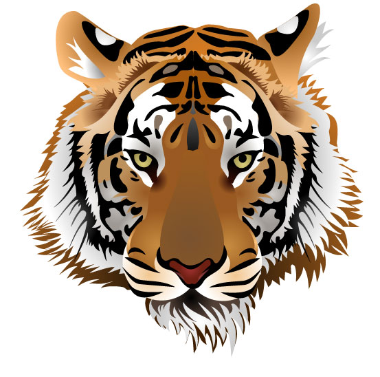 Set of Tiger vector picture art 03 tiger   