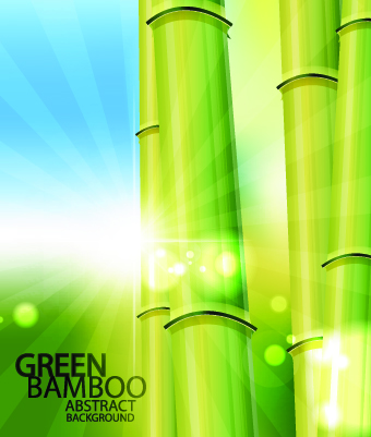 Vector Bamboo design elements background 01 Sporting Goods Home and Garden furniture Consumer Goods and Services bamboo   