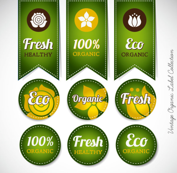 Green labels design vector 02 labels label green   