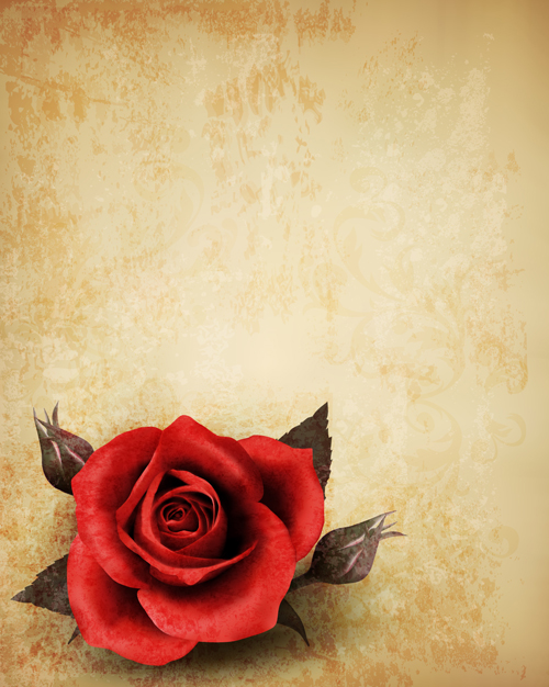 Roses and Vintage background vector 01 vintage roses rose background vector background   