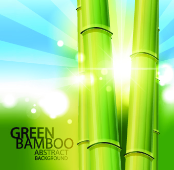 Vector Bamboo design elements background 05 elements element bamboo   