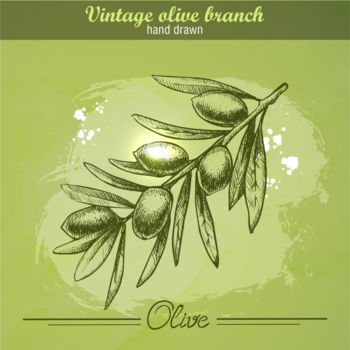 Vintage olive cranch hand drawn vector 01 vintage olive hand drawn cranch   