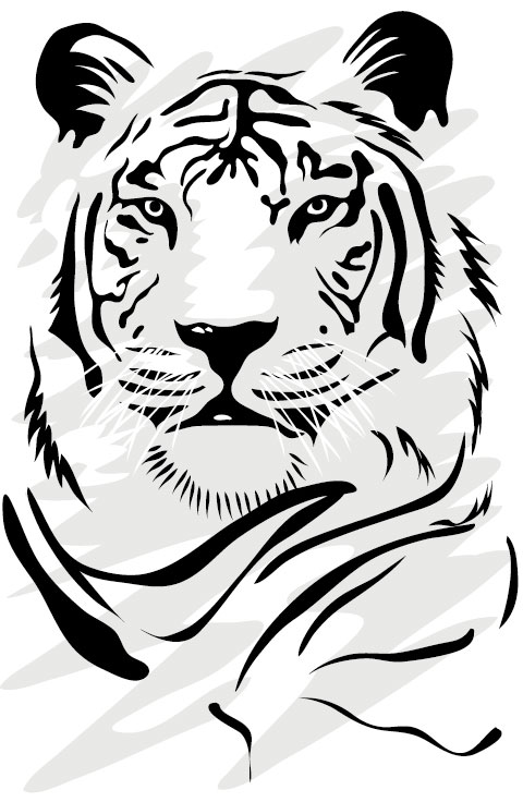 Set of Tiger vector picture art 06 tiger   