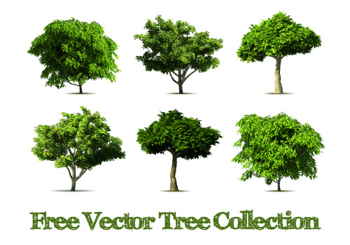 Realistic tree vector design graphics tree realistic design   