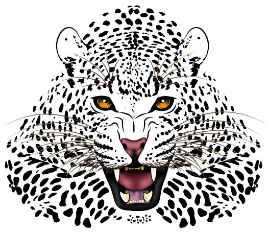 Set of Tiger vector picture art 18 tiger   