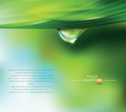 Green background with Water Drop vector water drop water green   