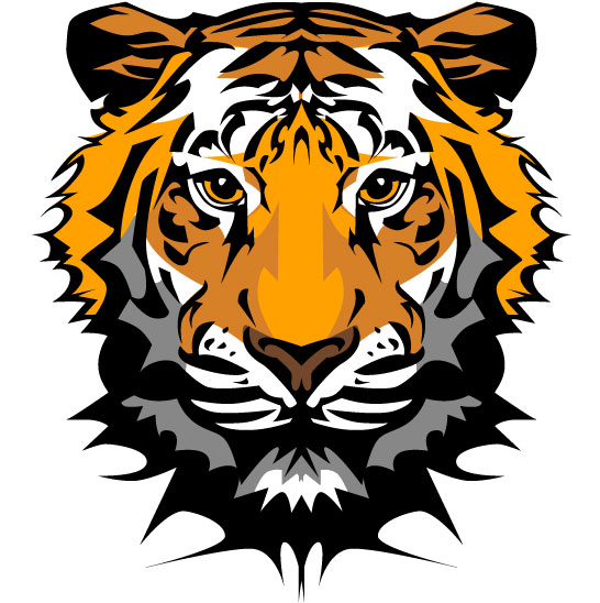 Set of Tiger vector picture art 20 tiger   