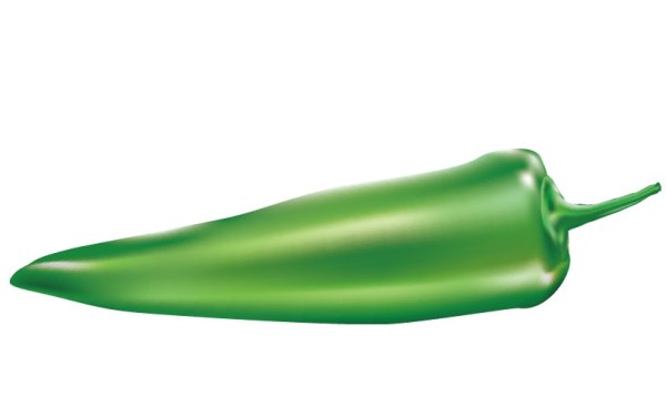 Green Chili vector vector green chili   