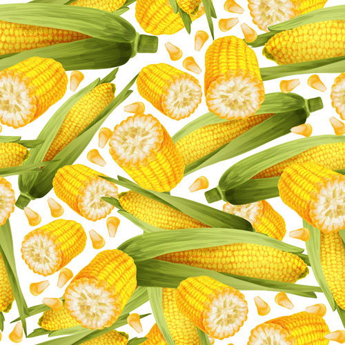 Realistic corn seamless pattern vector seamless realistic pattern corn   