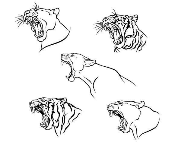 Set of Tiger vector picture art 10 tiger   