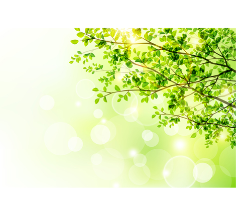 Sunlight with green tree spring background sunlight spring green background   