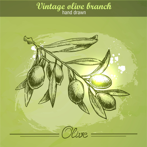 Vintage olive cranch hand drawn vector 02 vintage olive hand drawn cranch   