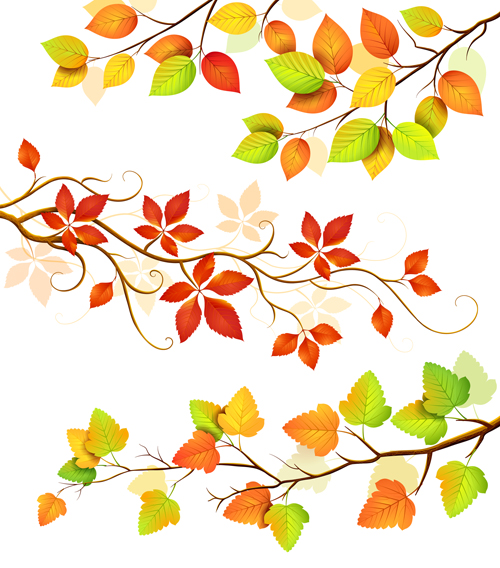 Colored Leaf vector set 02 leaf colored color   