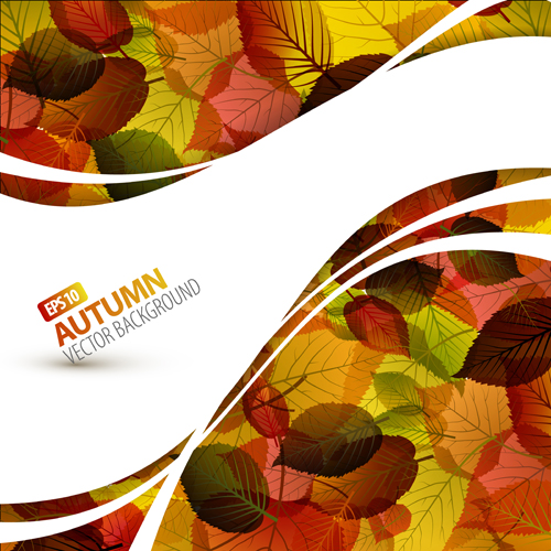 Autumn Beautiful leaves theme background vector 03 leaves leave beautiful autumn   