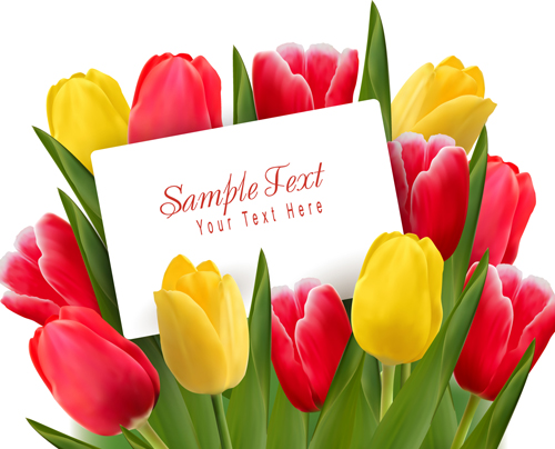 Set of Color Tulips Cards design vector 05 tulips color cards card   