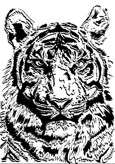 Set of Tiger vector picture art 02 tiger   