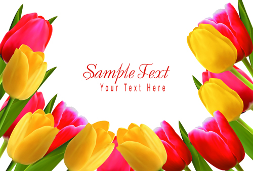 Set of Color Tulips Cards design vector 04 tulips color cards card   