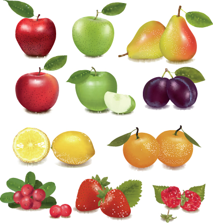 Various Fresh fruit design elements vector 05 Various fruit fresh elements element   