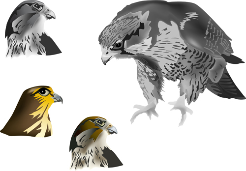 Eagle with head drawn vector 01 eagle drawn   