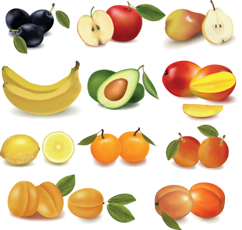 Various Fresh fruit design elements vector 03 Various fruit fresh elements element   