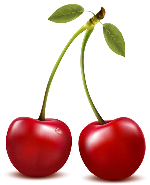 Realistic red cherry design vector realistic cherry   